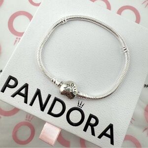 Pandora Silver Charm Bracelet